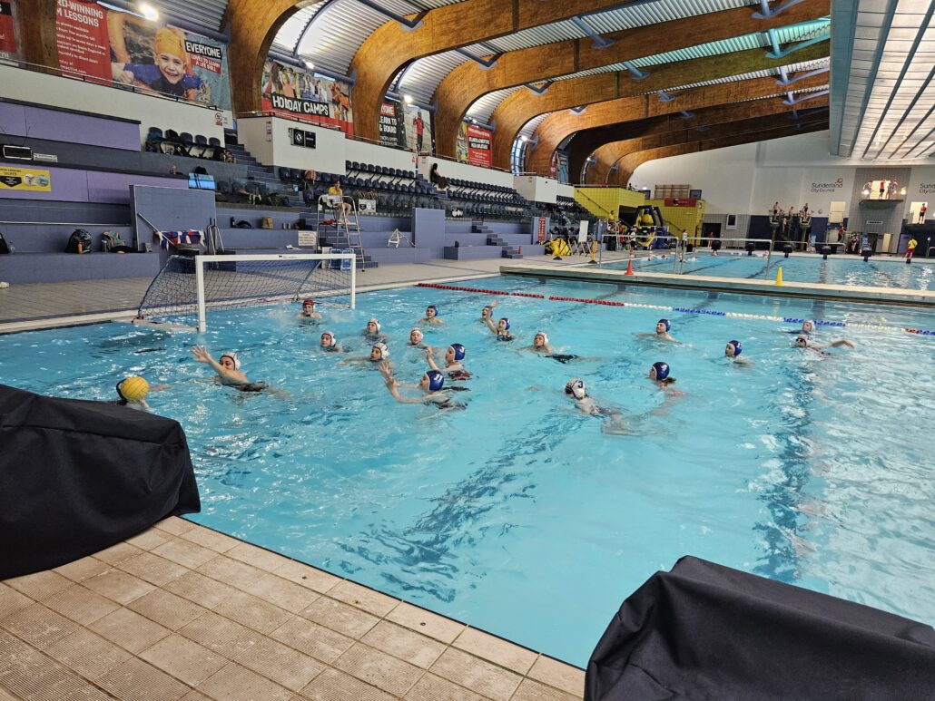 Making Waves: Festival of Aquatics Brings a Splash of Fun to the Region
